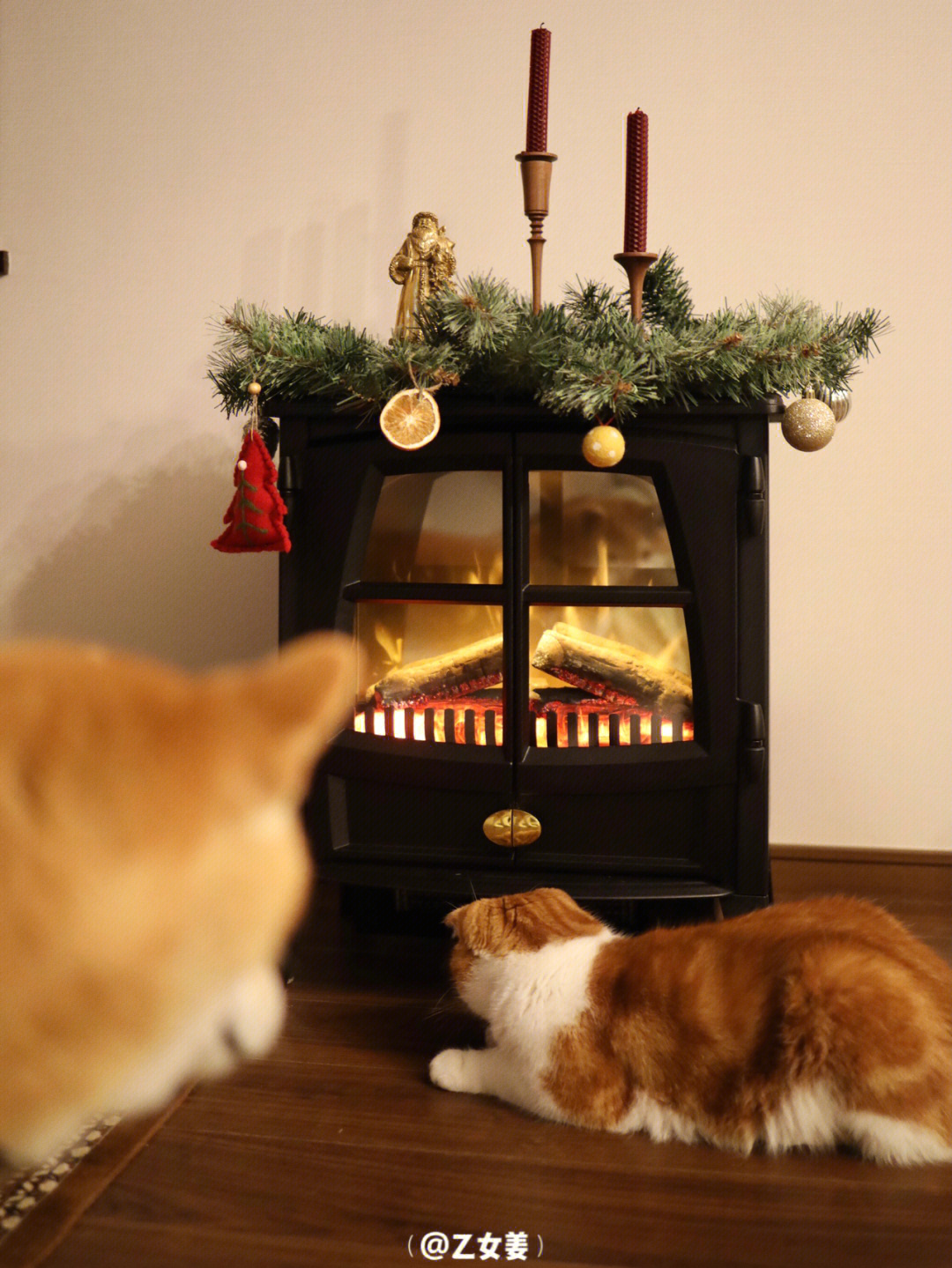 猫狗日常高颜值暖炉dimplex圣诞氛围