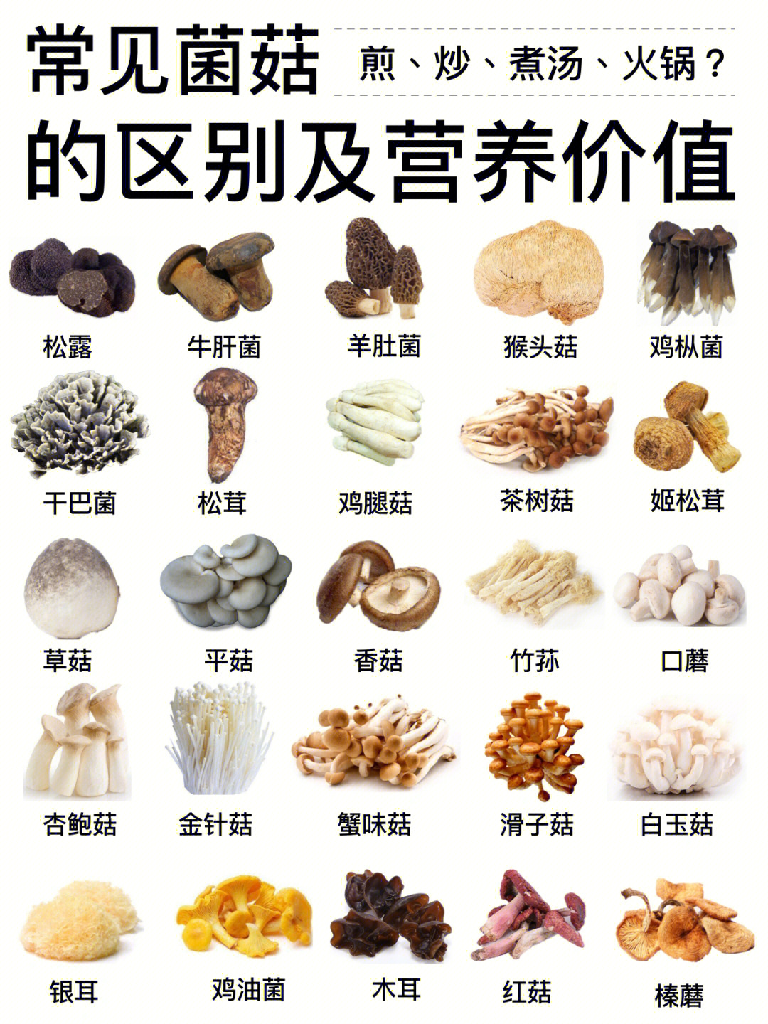 【菌菇说明书】常见菌菇类区别营养价值及做法
