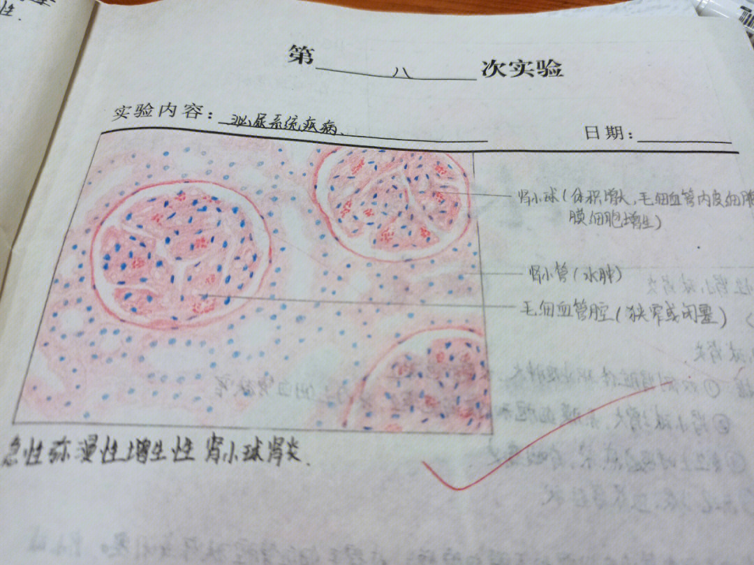 淋转实验红蓝铅笔图图片