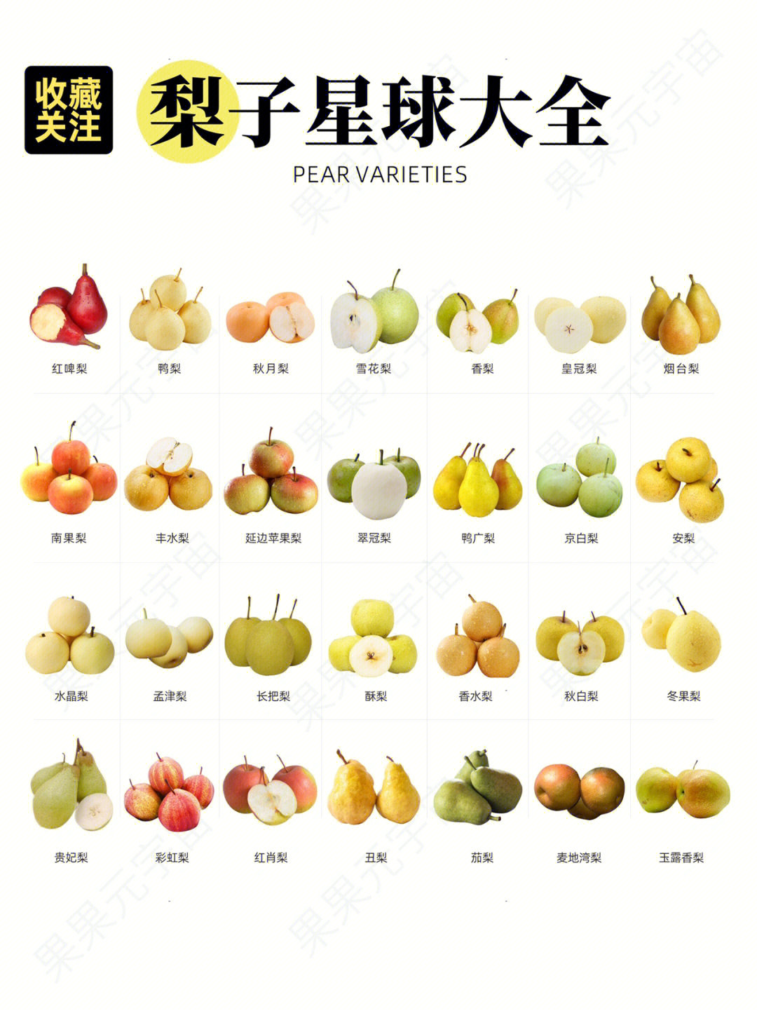 28种梨子科普吃过15种以上的都是资深玩家