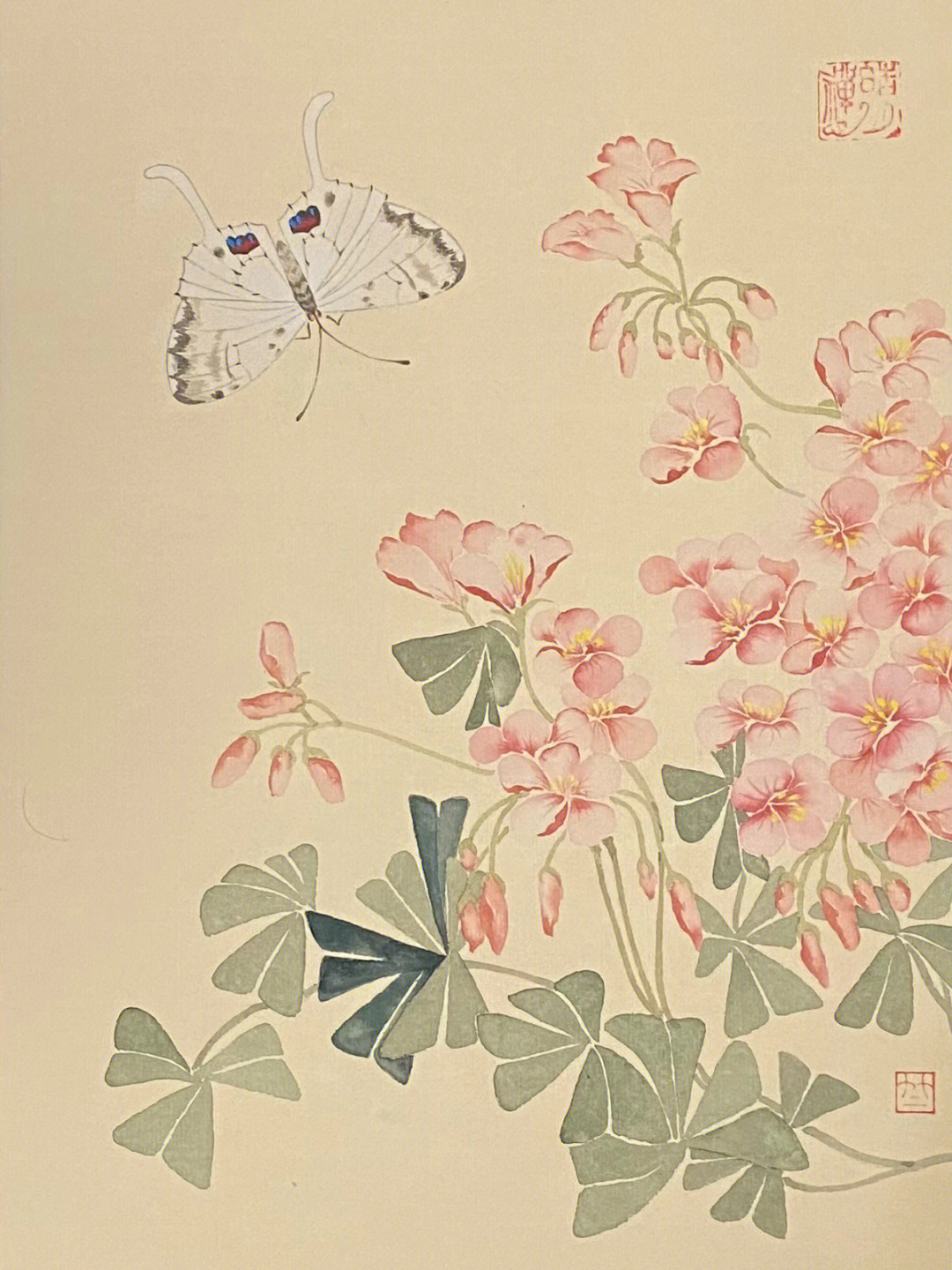 蝶恋花的寓意和象征图片