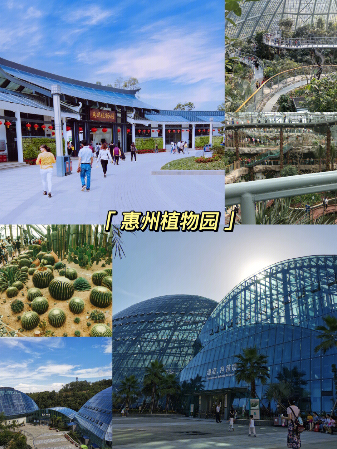 惠州惠州植物园非常不错的科普教育基地