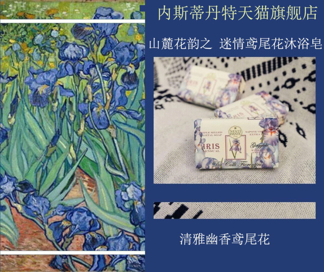 鸢尾花,别名爱丽丝,英文名iris, 源于希腊语,是希腊神话中彩虹女神