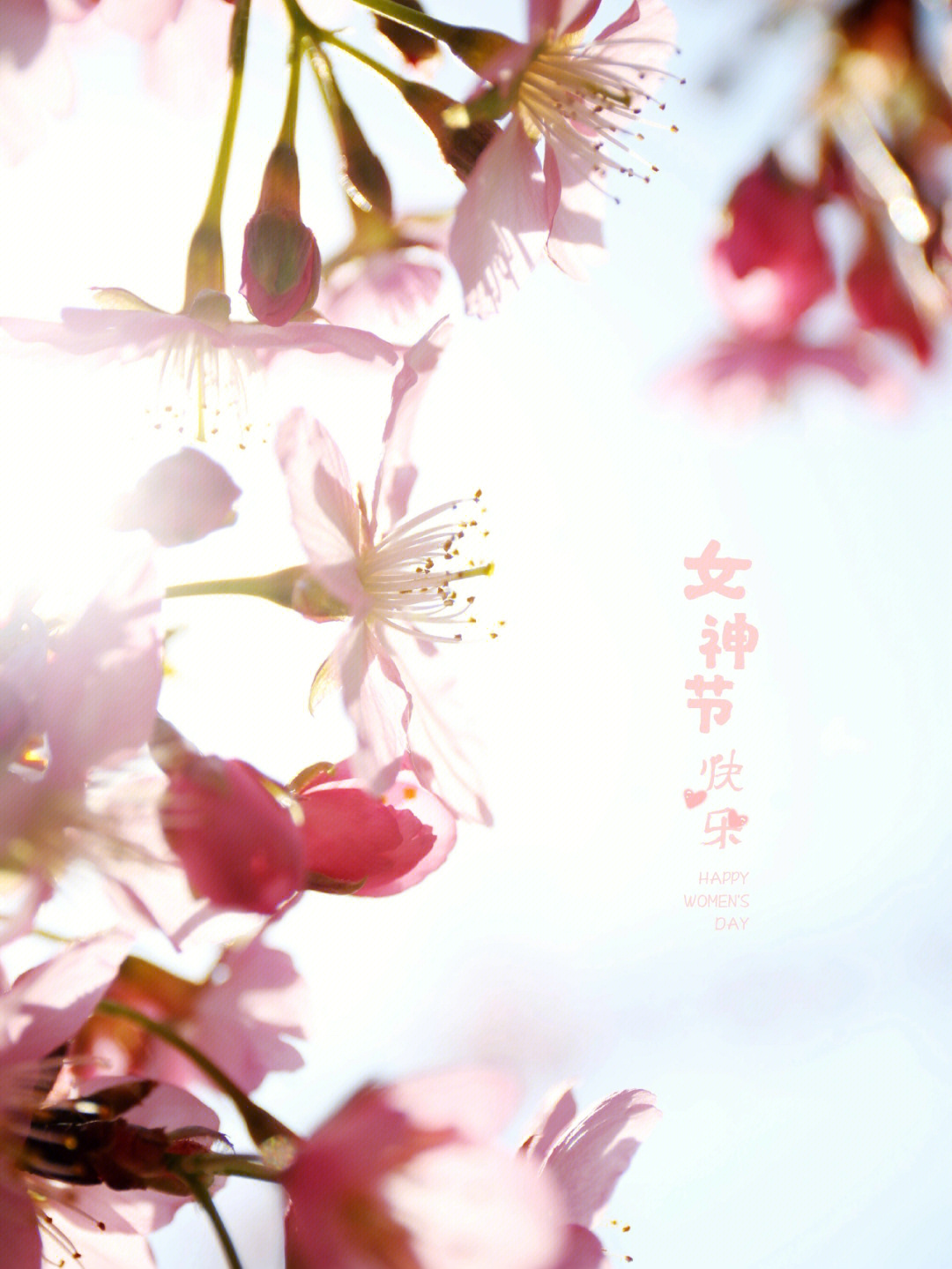 女神节壁纸 月之女神图片