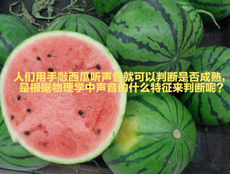 成熟的标志想开了西瓜图片