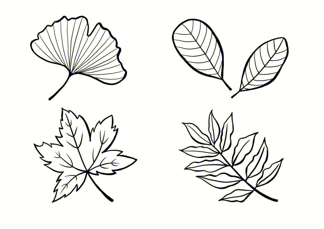 四季的树叶简笔画图片