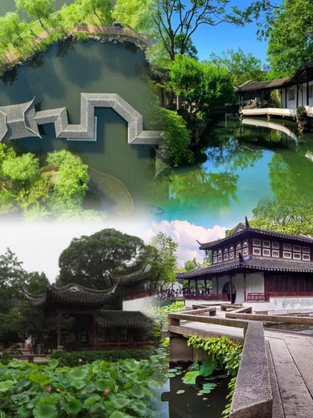 美术考编知识分享day7中国四大古典园林