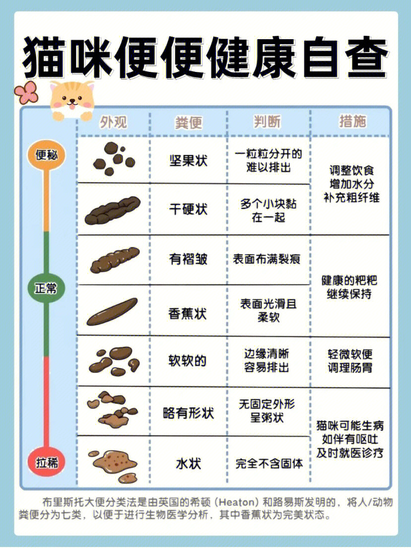 正常大便对照表图片