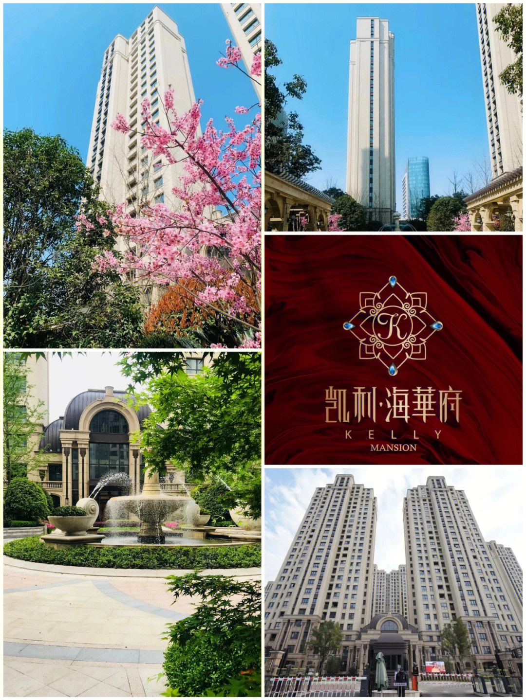 凯利海华府对口小学图片