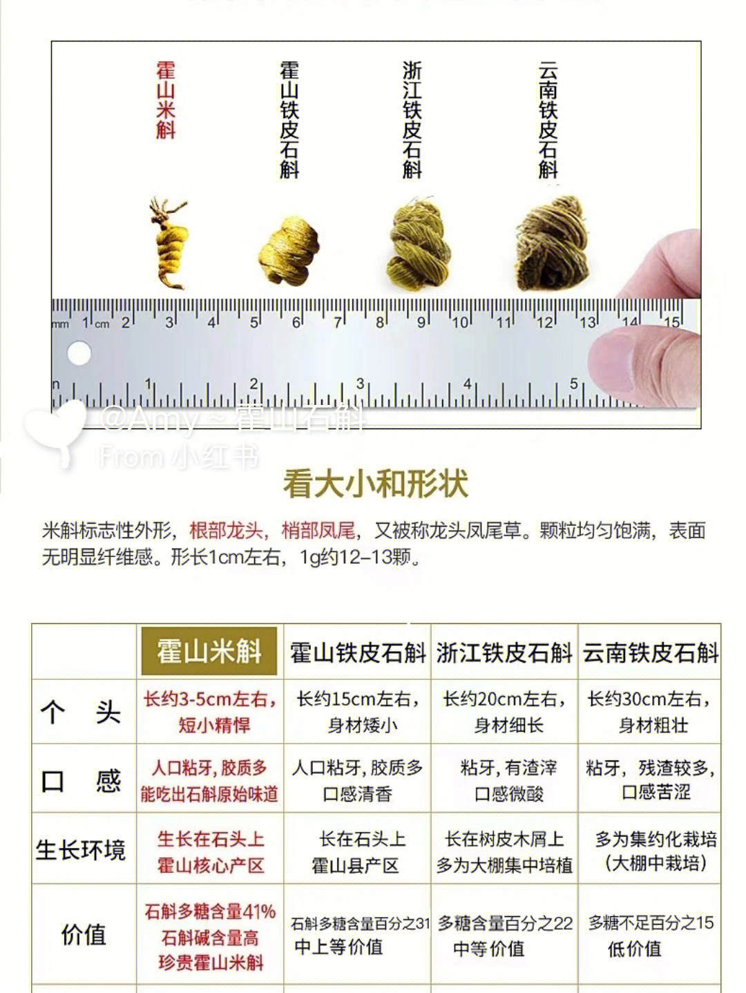 石米和石斛的功效区别图片