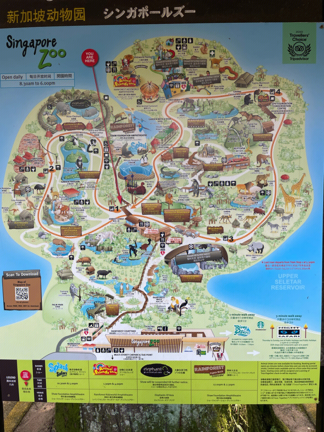 新加坡日间动物园地图图片