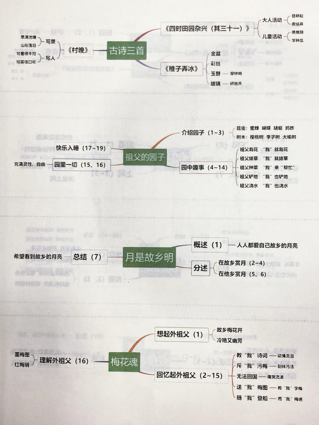 团圆这本书的思维导图图片