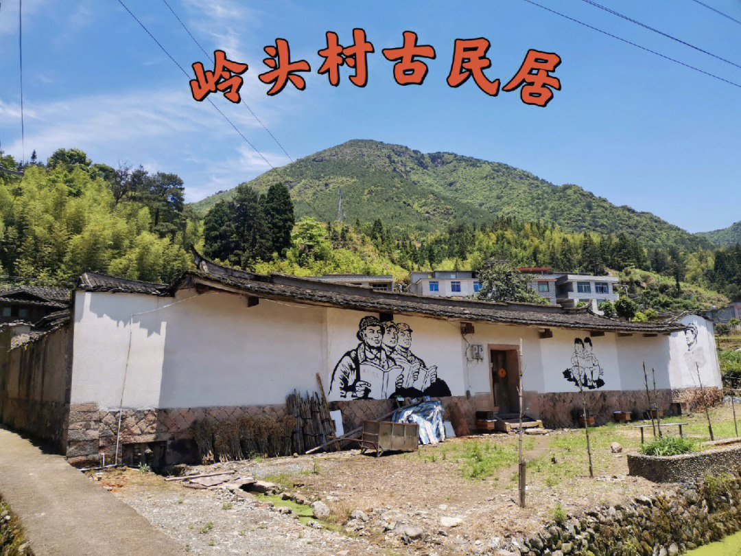 福建岭头村图片