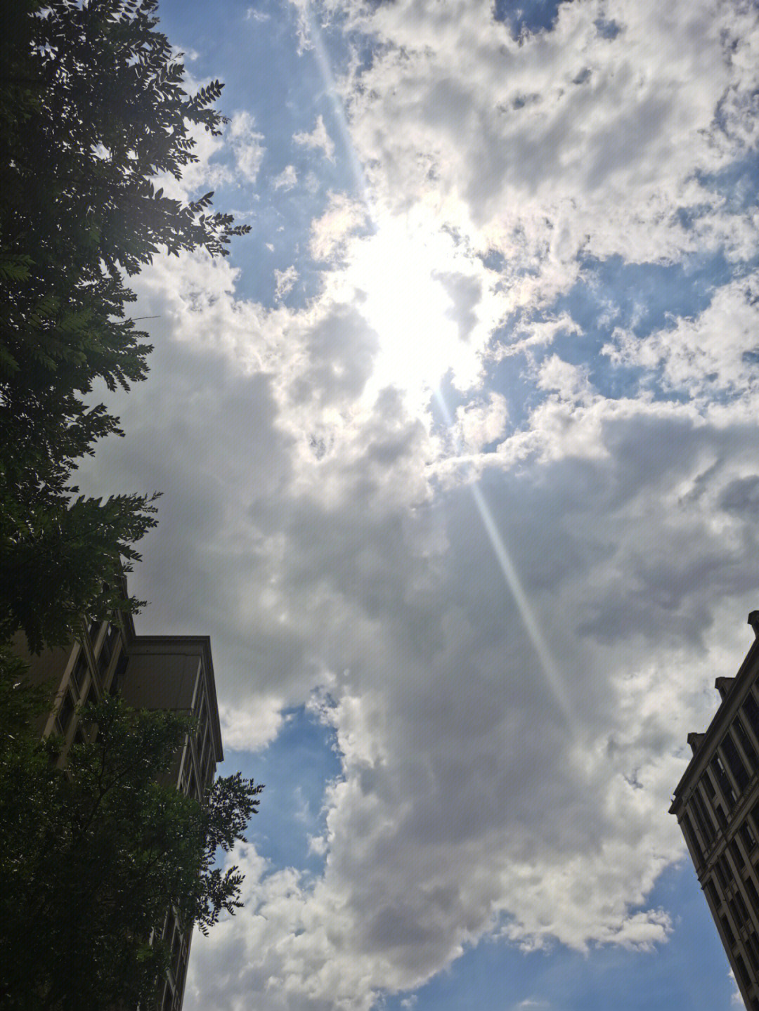 雨后的阳光图片