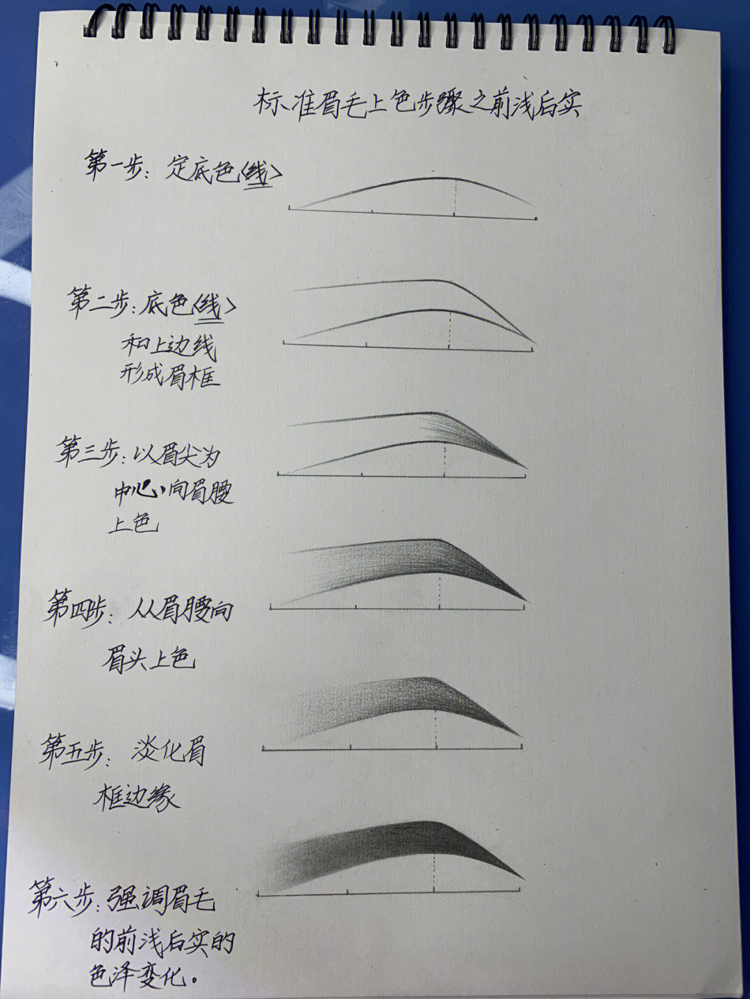 标准眉毛比例分解图图片