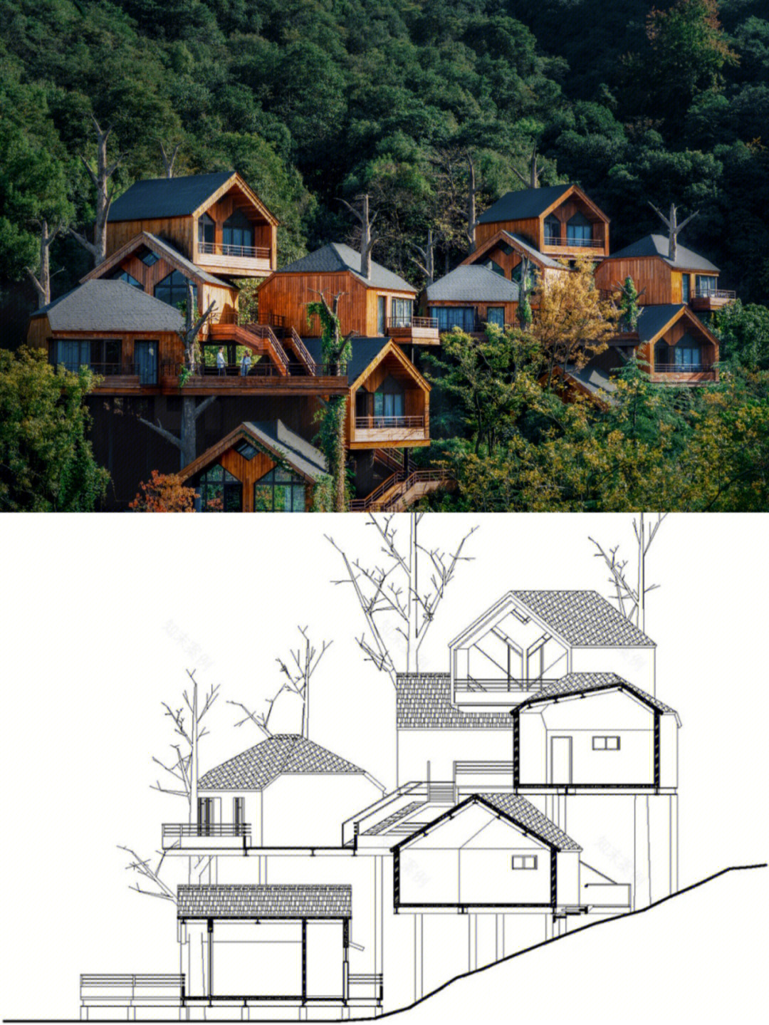 树屋民宿设计与方案图片