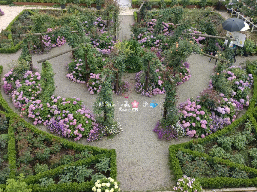 海蒂的花园郫县基地图片