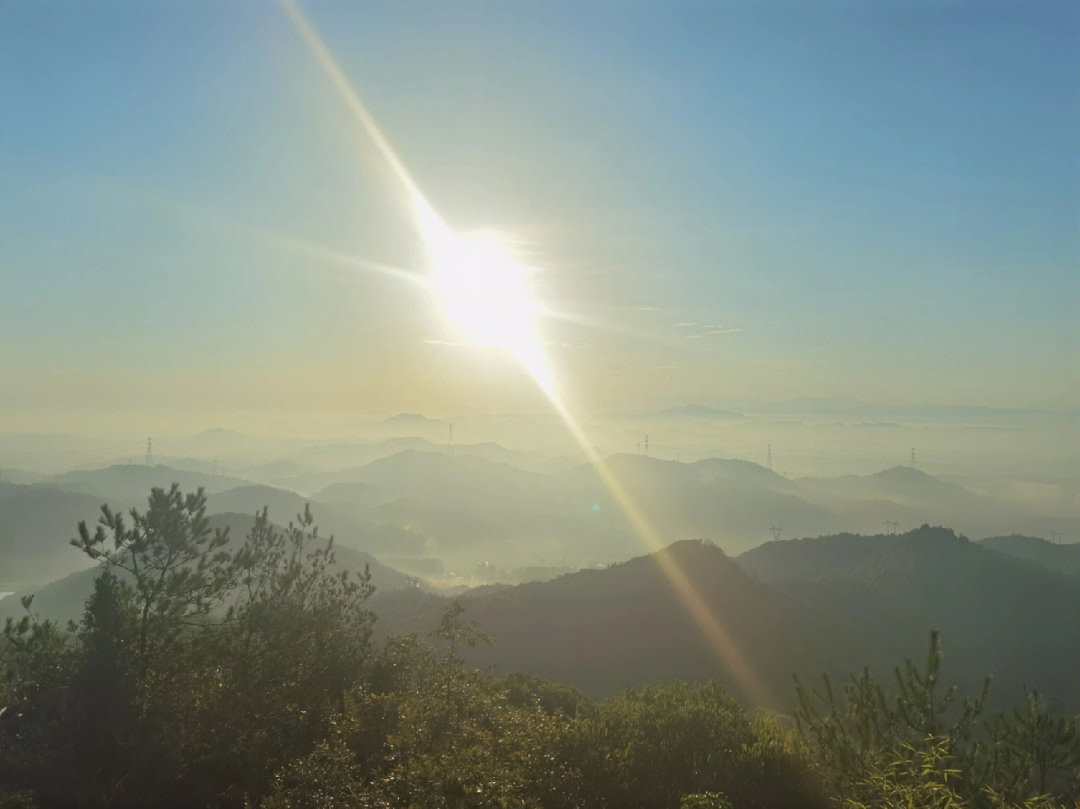 灵谷峰爬山看日出