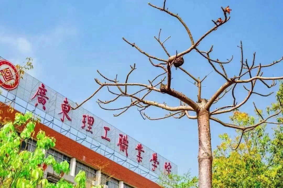 广东理工职业学院位于图片