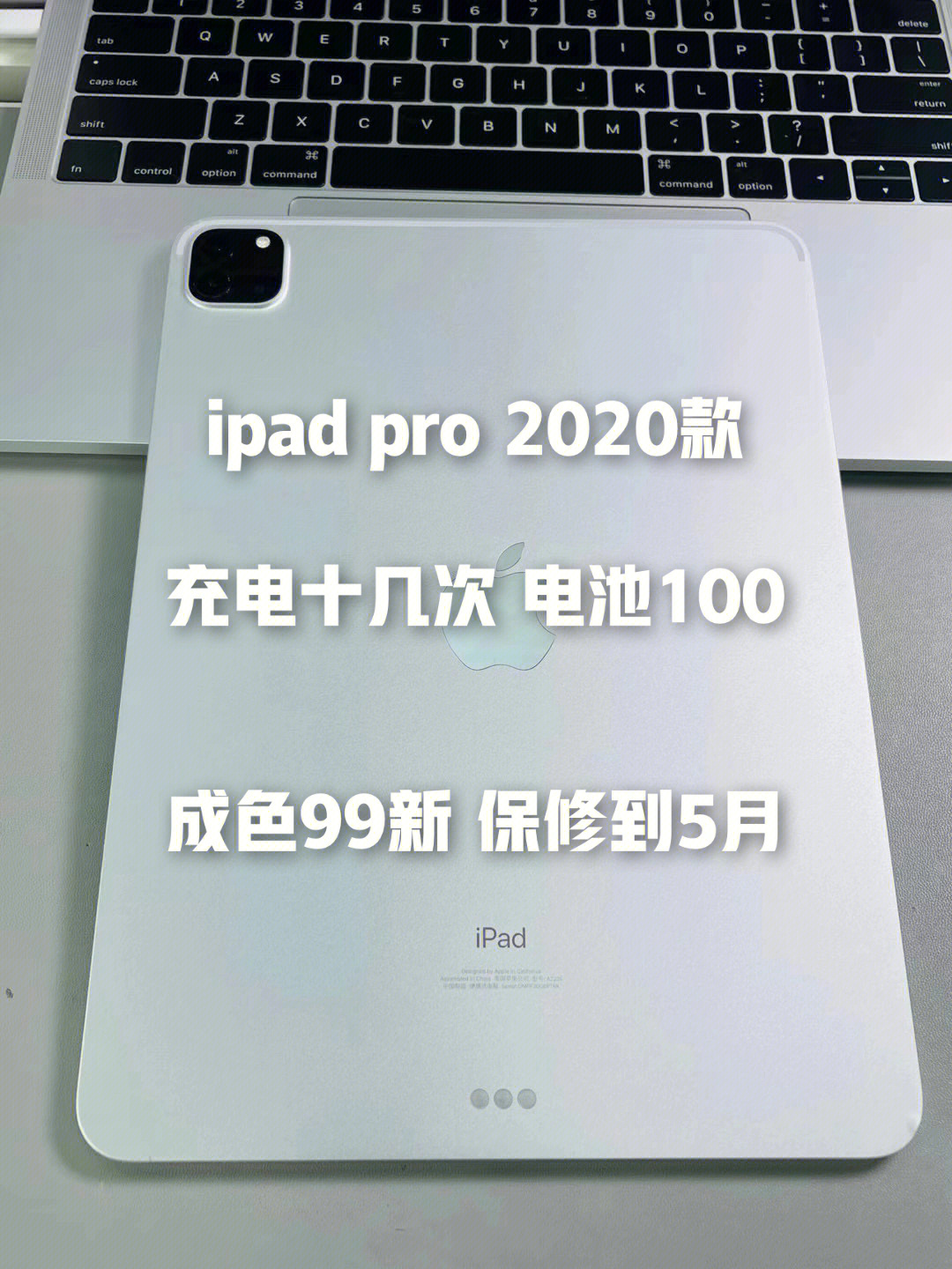 2020款ipadpro参数图片