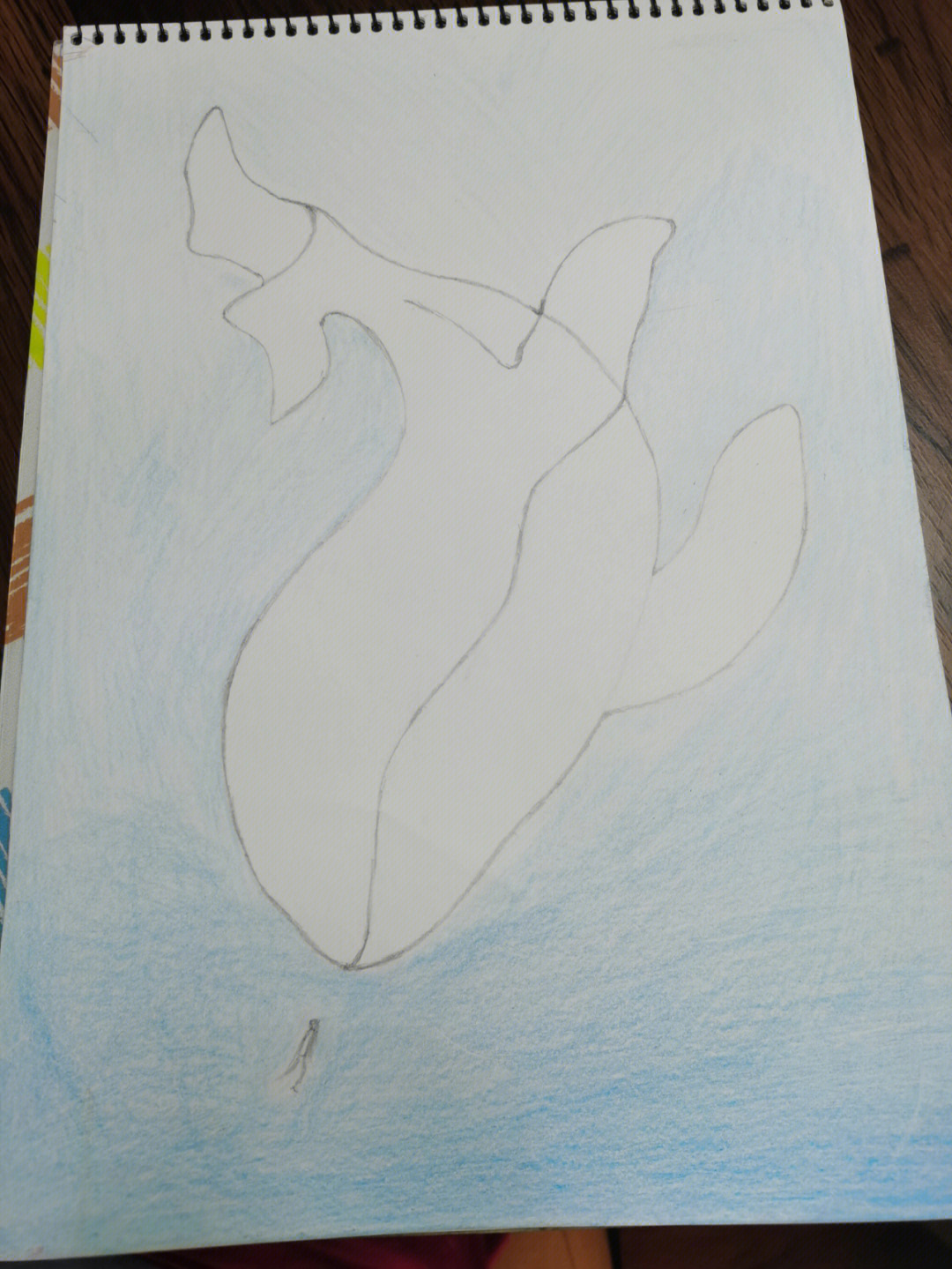 鲸鱼画法彩铅图片