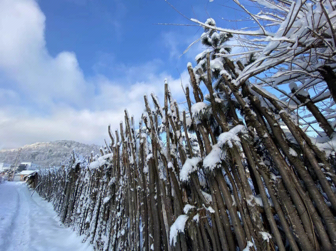 拍雪景的手机参数图片