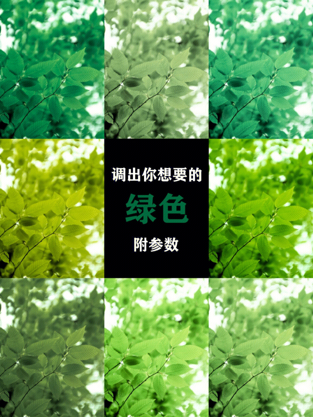 8种绿色调色参数