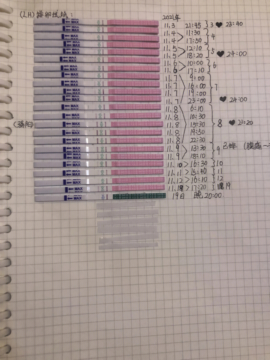 苹果11进水试纸位置图图片