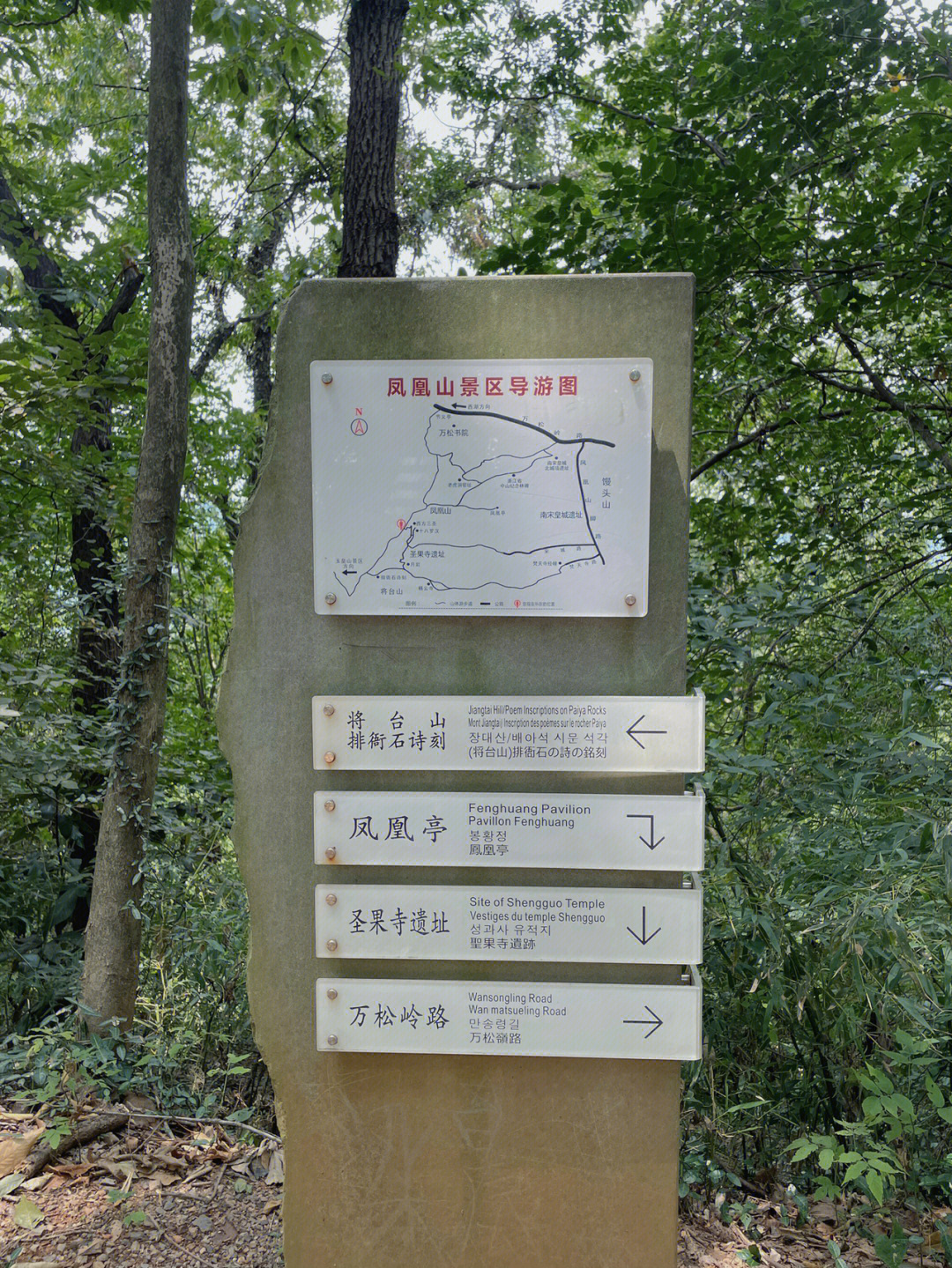 杭州凤凰山爬山路线图片