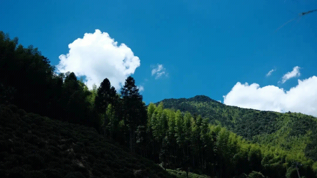 浮瓜沉李,枕书消夏图片