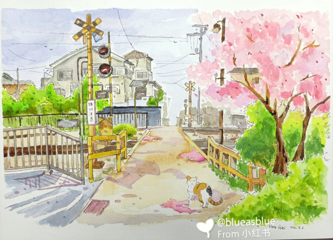 钢笔淡彩樱花街道
