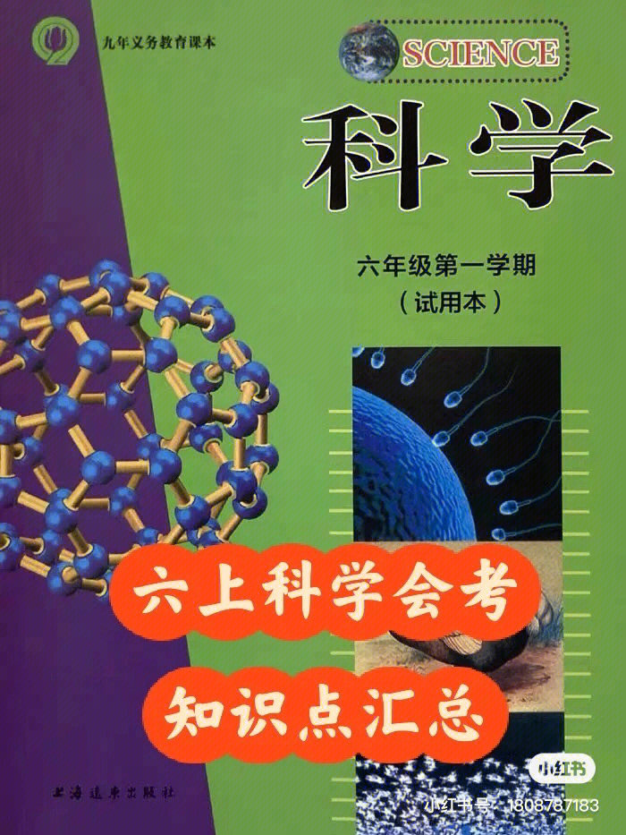 六年级科学上册会考知识点汇总