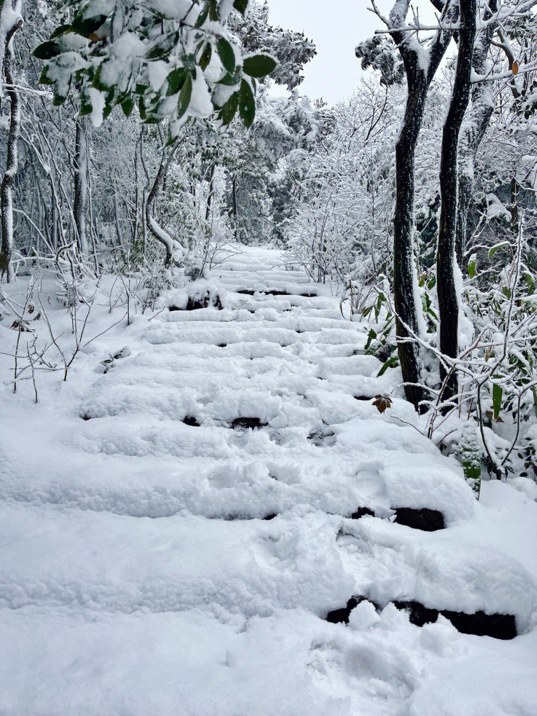 2022莫干山雪景图片