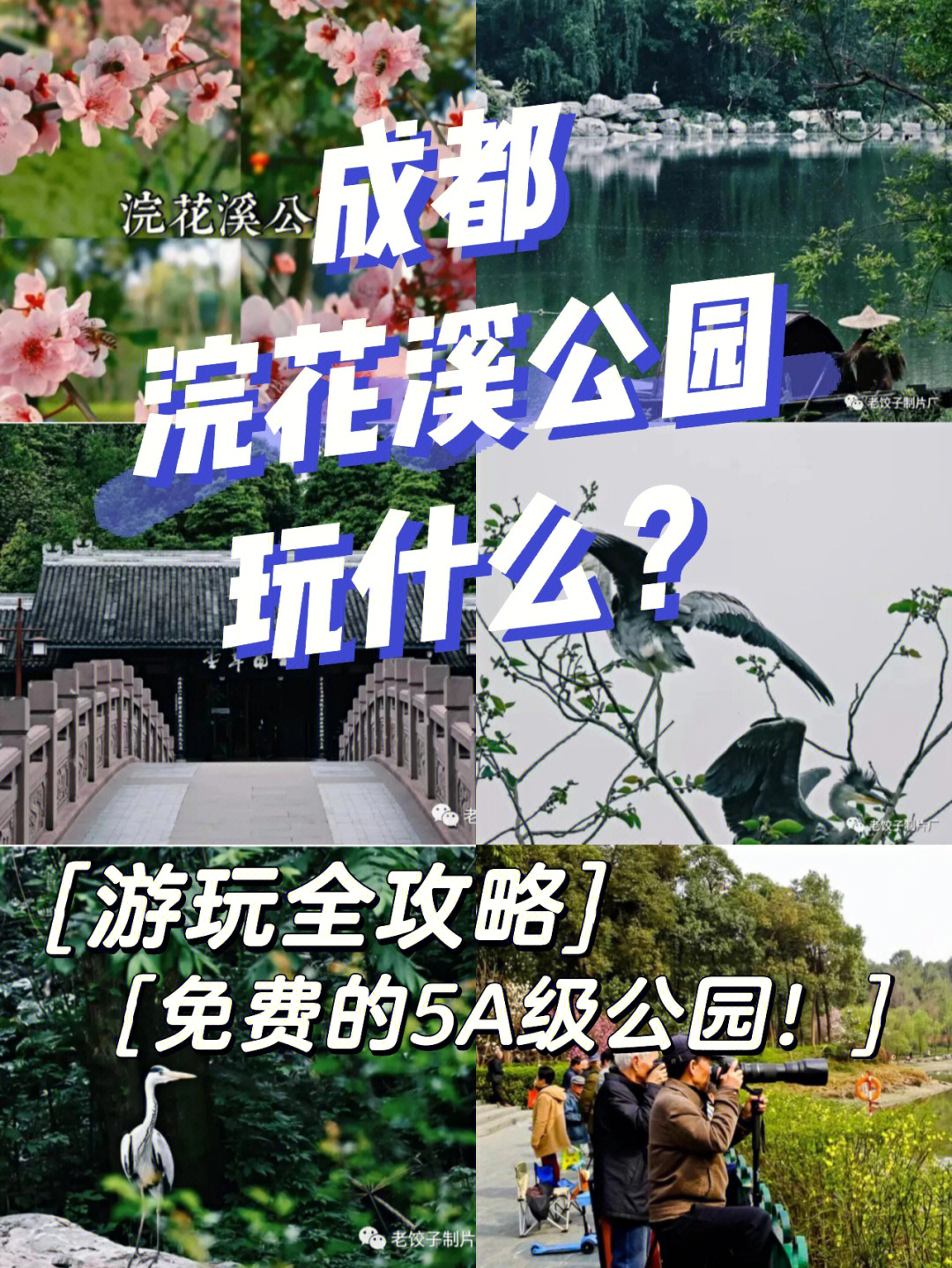 浣花溪公园游览图图片