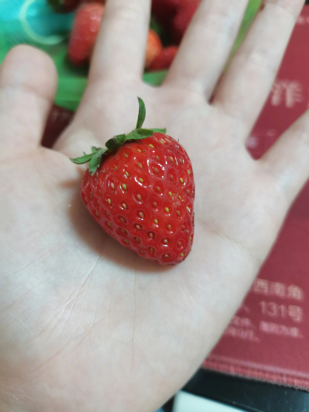 合格生长小草莓
