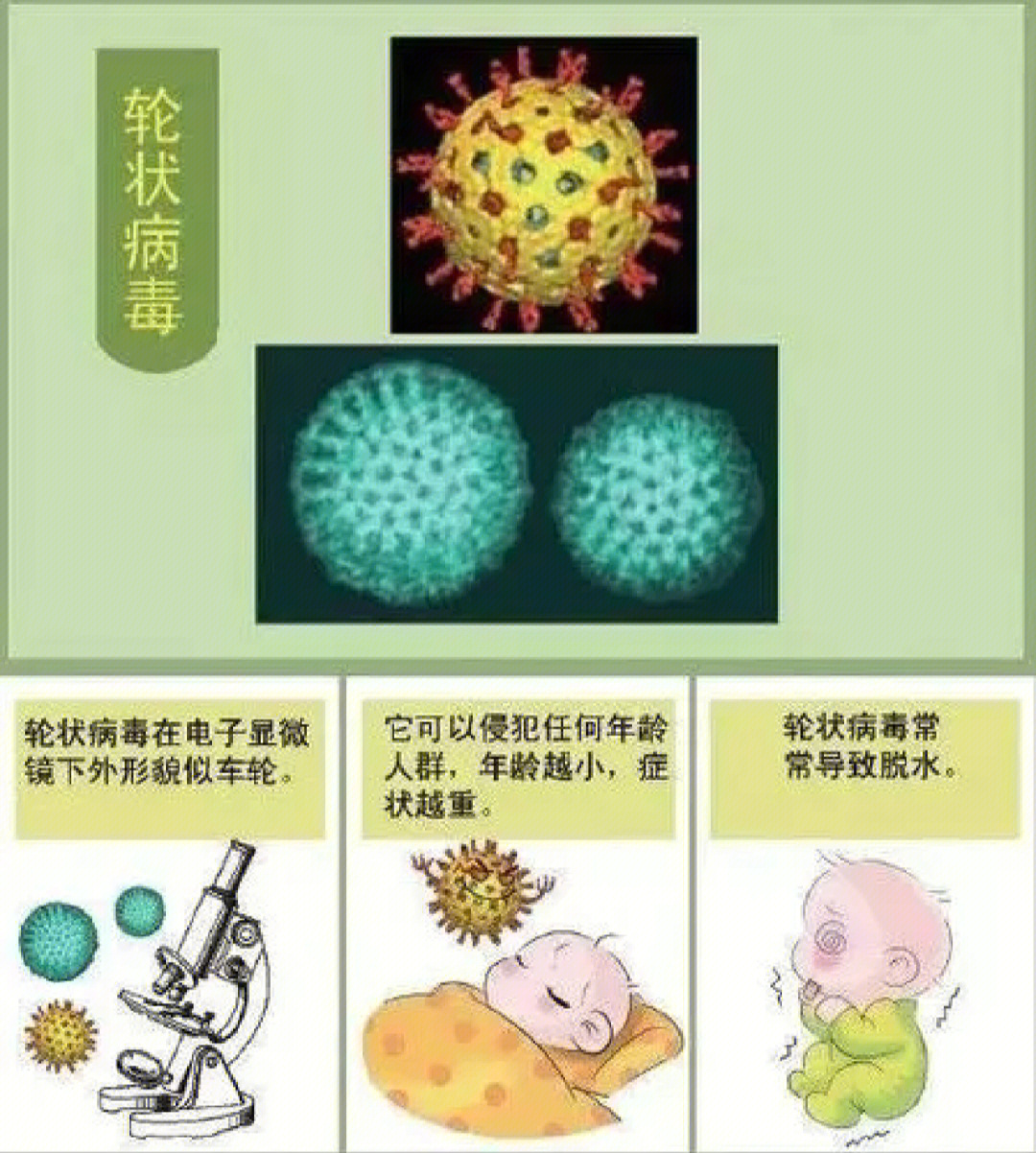 2个月脊灰灭活 五价轮状病毒疫苗第一天