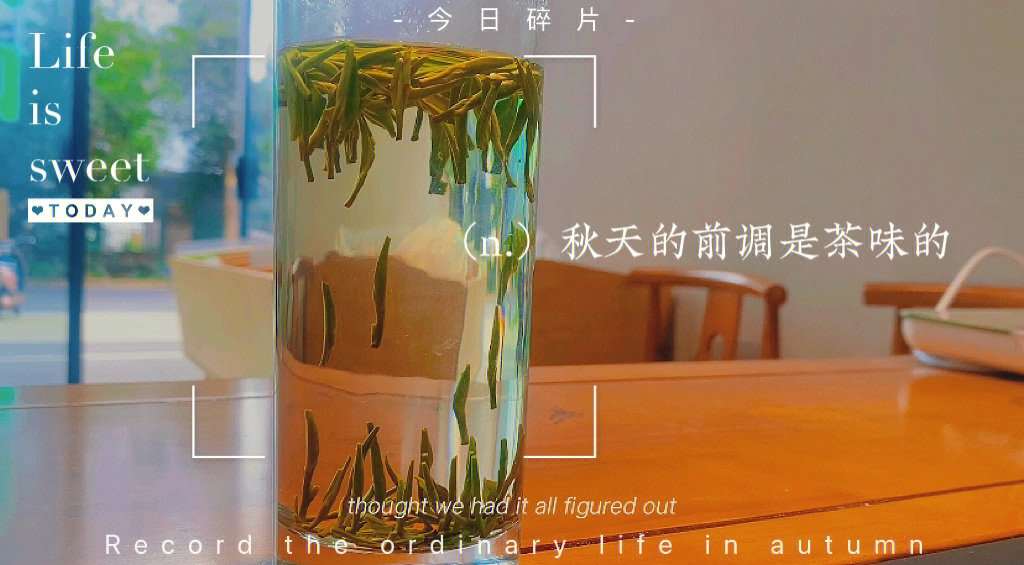 开化龙顶茶一杯有乡韵的茶