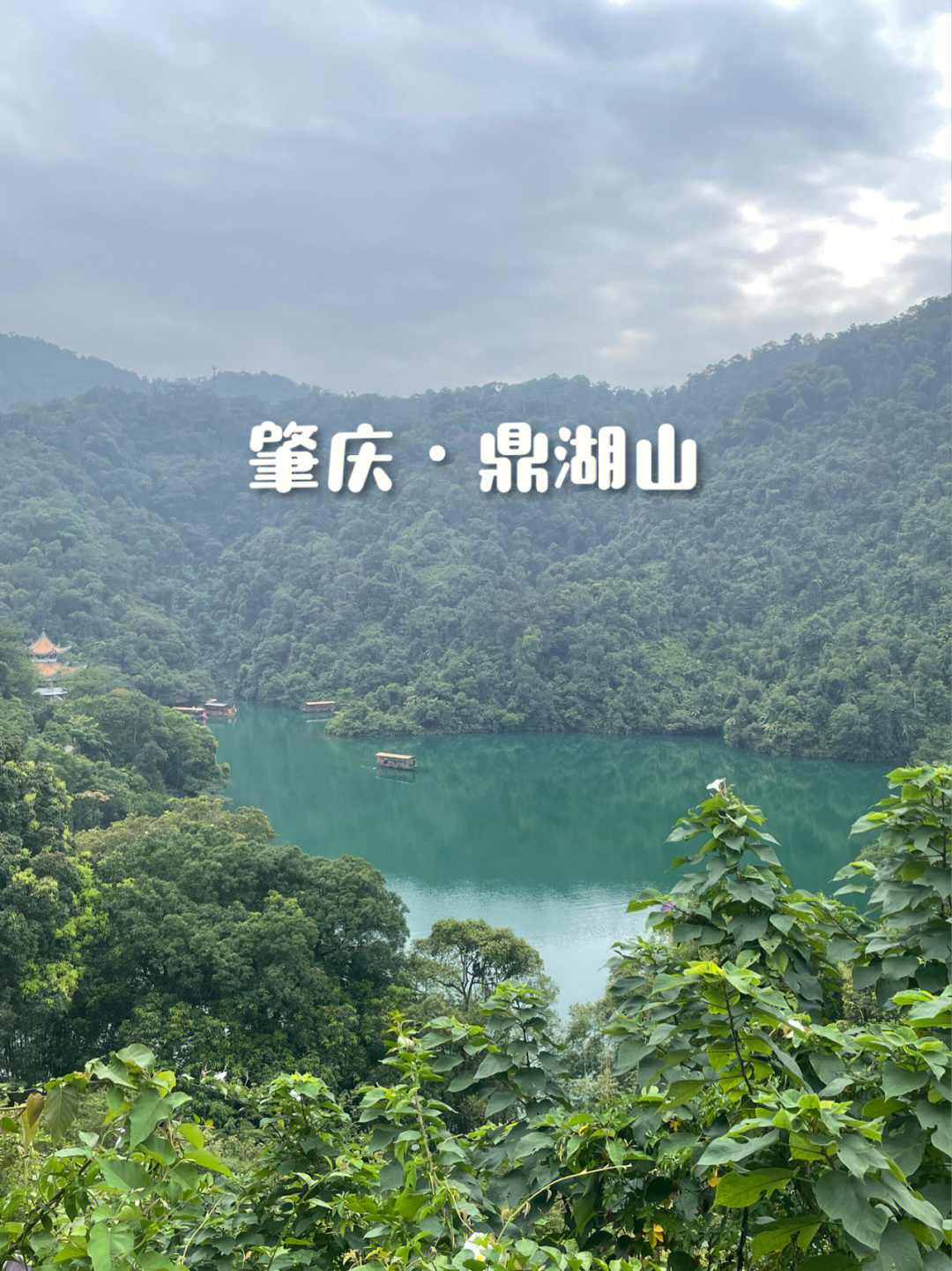 鼎湖山景区介绍图片