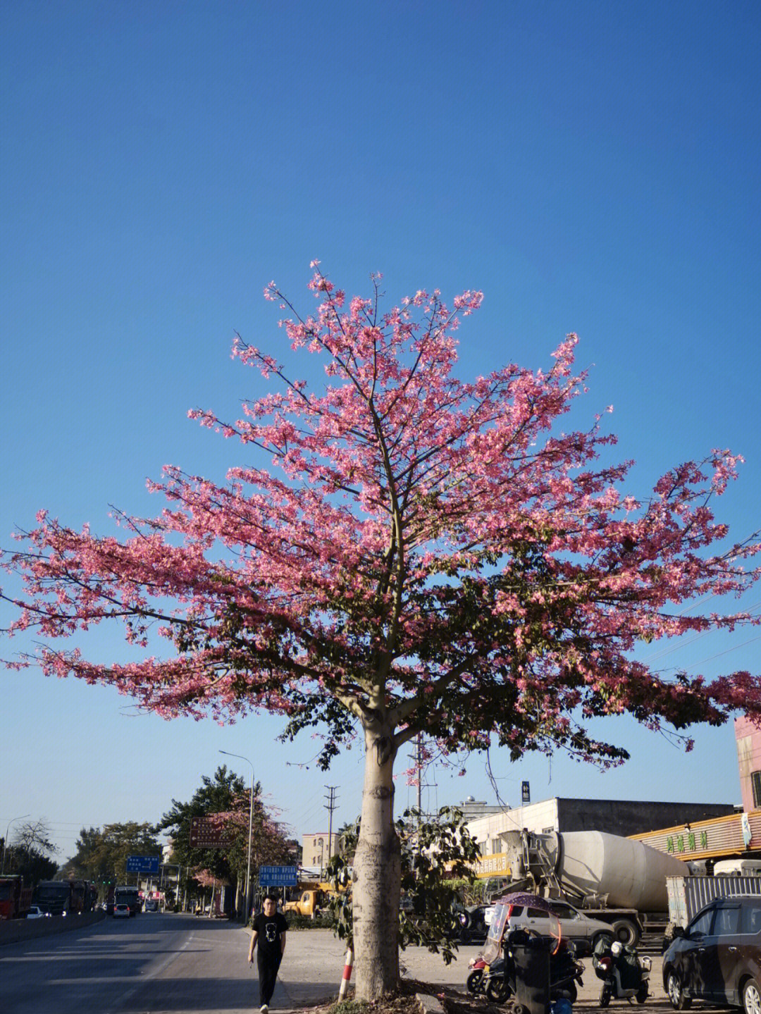 花东镇旅游景点图片