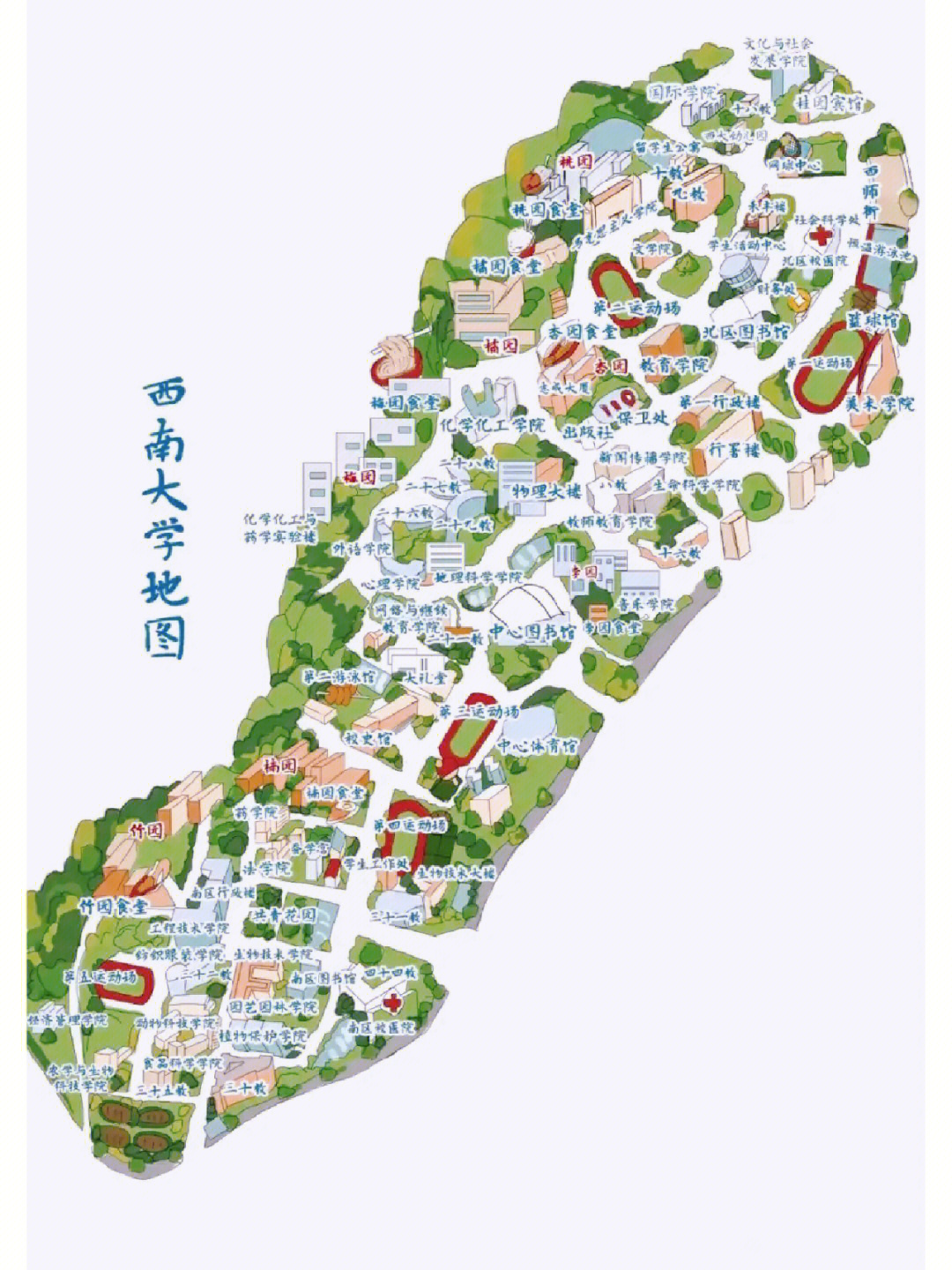 西南林业大学 地形图图片