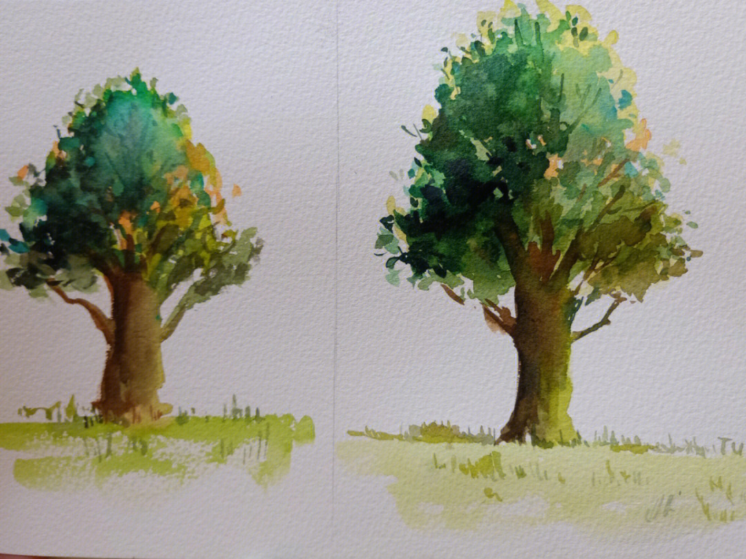 水彩画树的画法简单图片