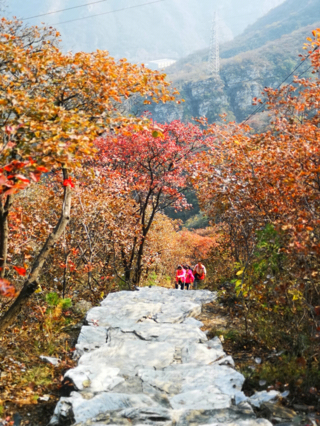 沂水药王谷图片