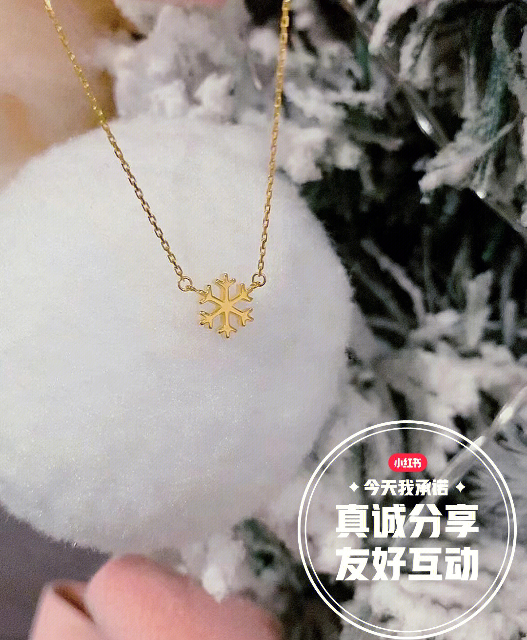 项链雪花图案的寓意图片