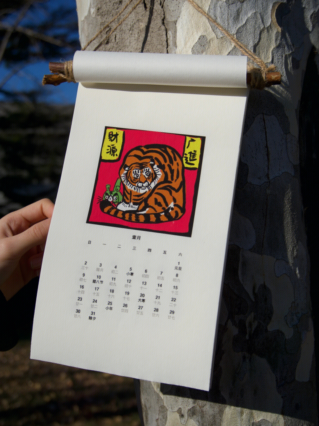 虎年的手抄报日历表图片