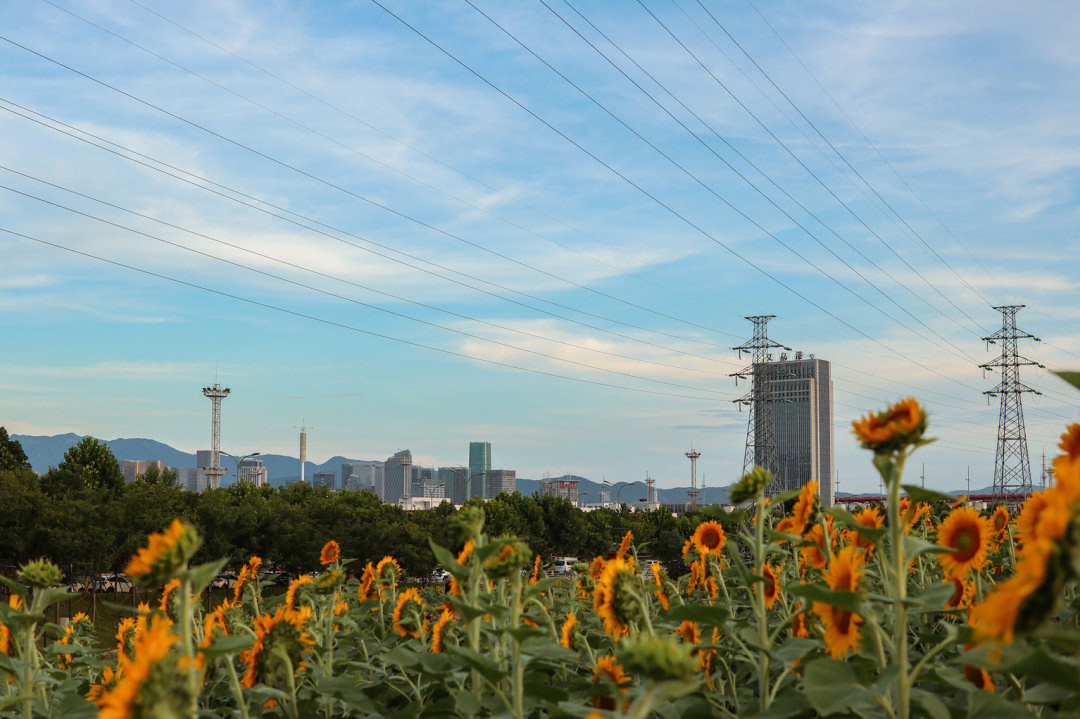 义乌植物园介绍图片