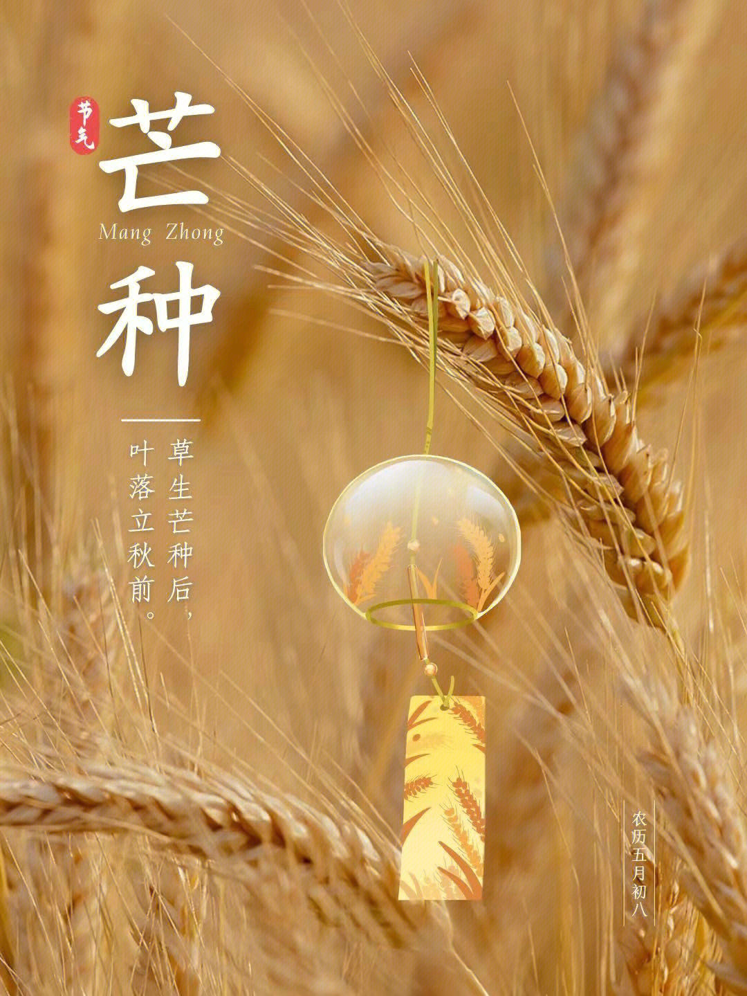 芒种海报芒种文案芒种美图朋友圈海报