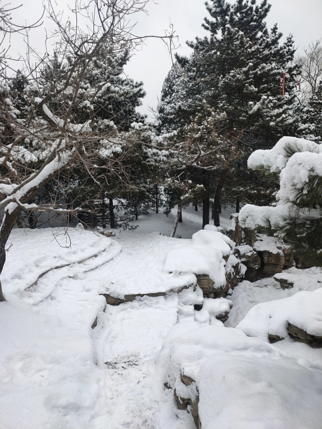 北京的雪