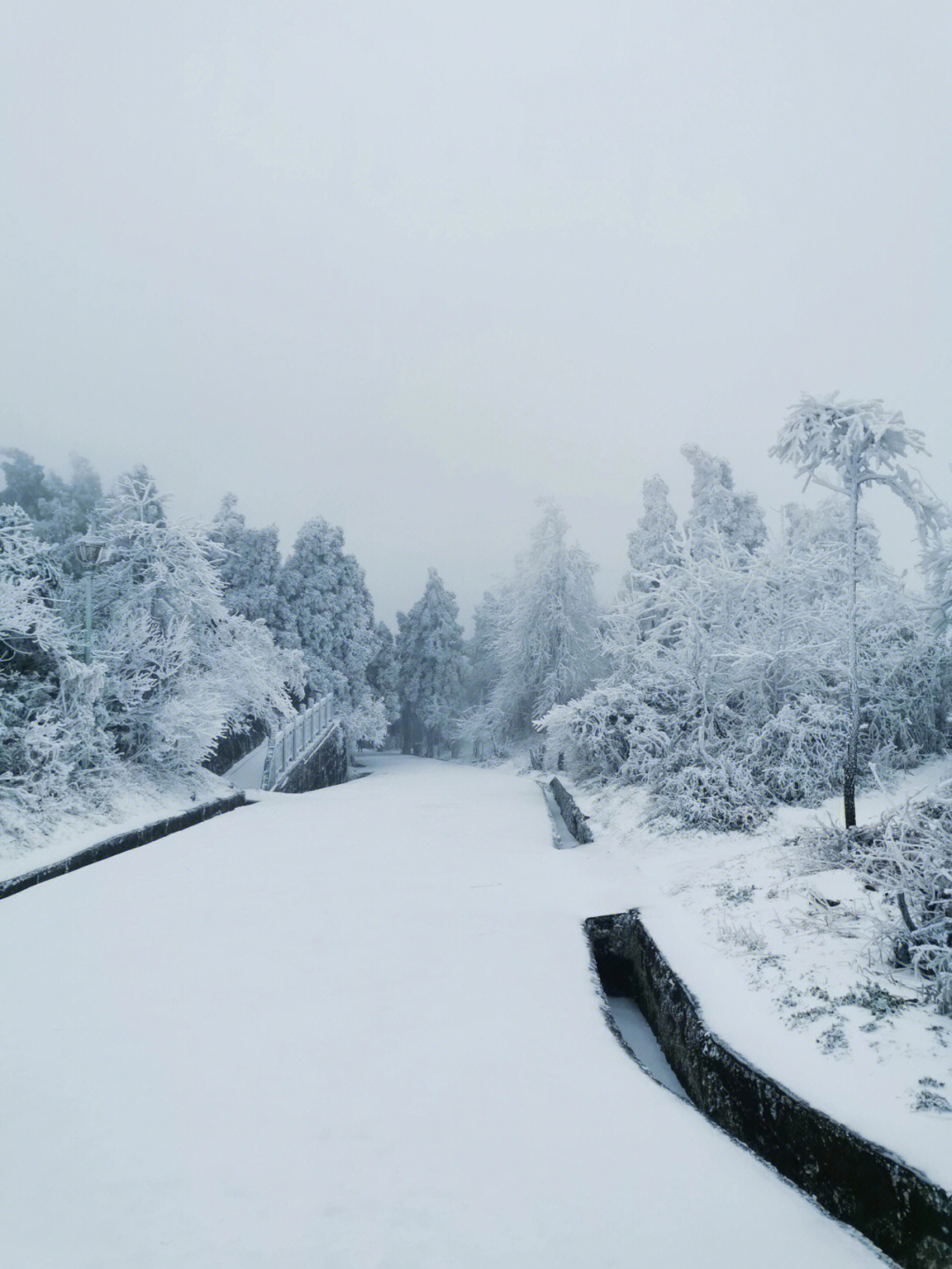 南岳衡山下雪啦