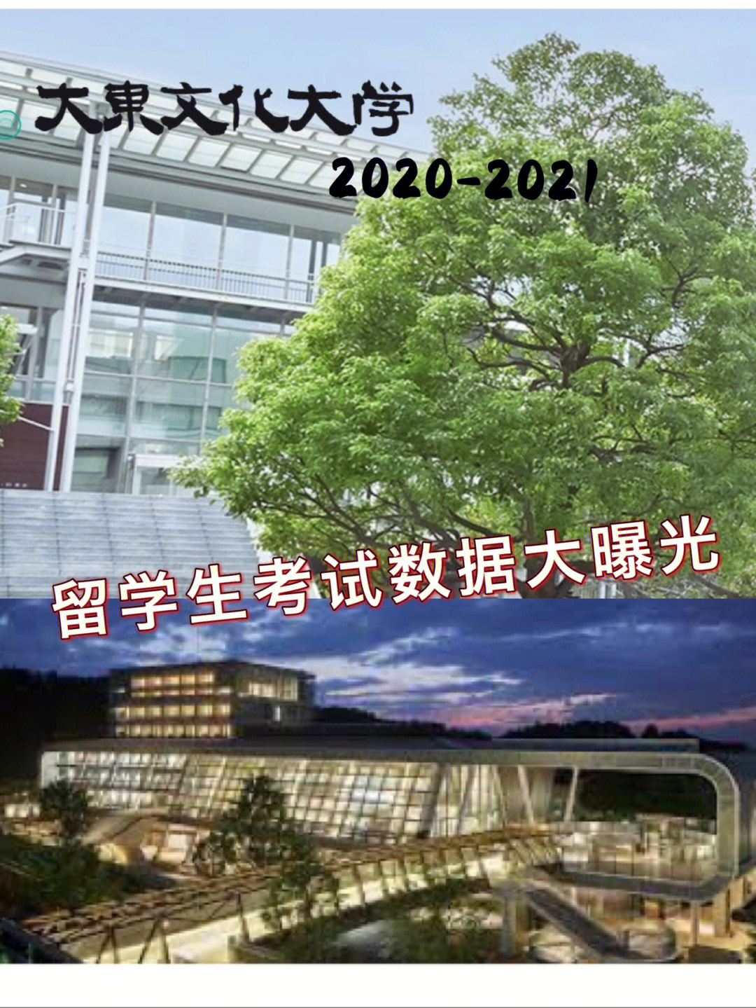 大东文化大学图片