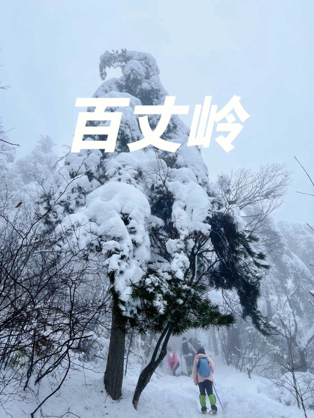 临安百丈岭森系雪景76